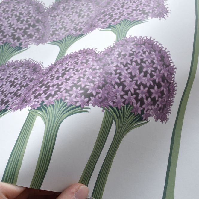 Cole&son / BOTANICAL BOTANICA 115/12034 (MANOR HOUSE)