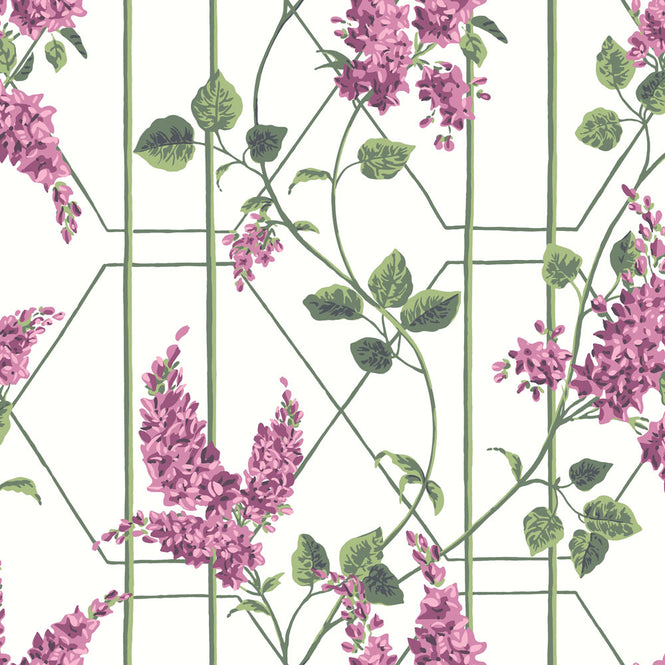 Cole&son / BOTANICAL BOTANICA 115/5013