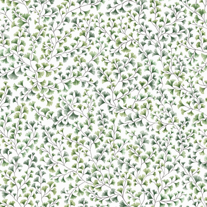 Cole&son / BOTANICAL BOTANICA 115/6018