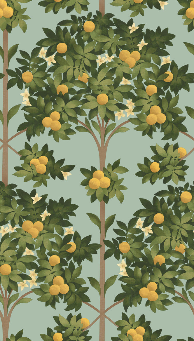 Cole&Son / SEVILLE / ORANGE BLOSSOM 117/1002(MANOR HOUSE)