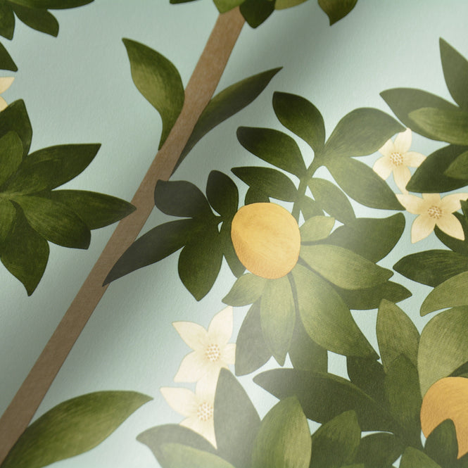 Cole&Son / SEVILLE / ORANGE BLOSSOM 117/1002(MANOR HOUSE)