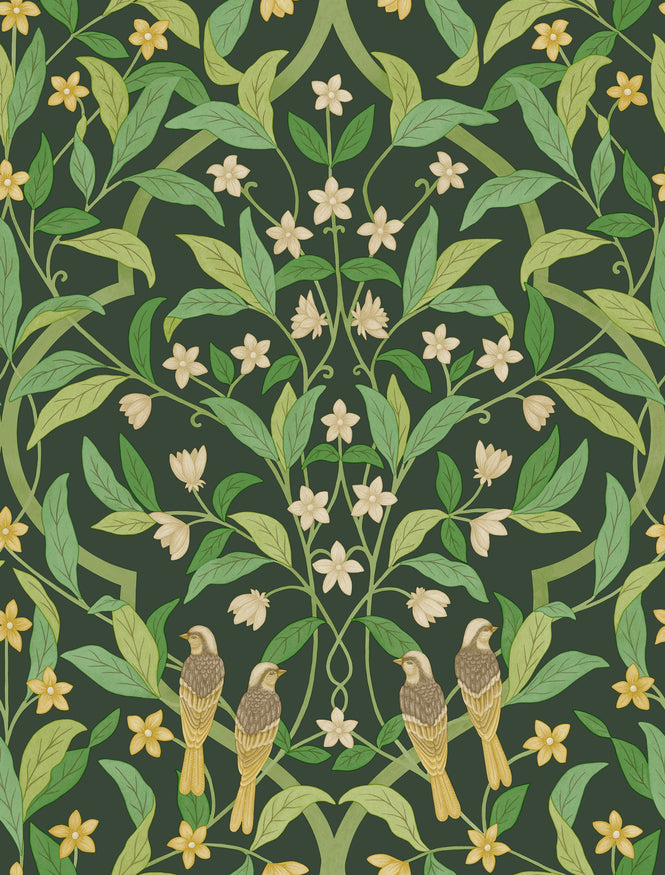 Cole&Son / SEVILLE / JASMINE & SERIN SYMPHONY 117/10029