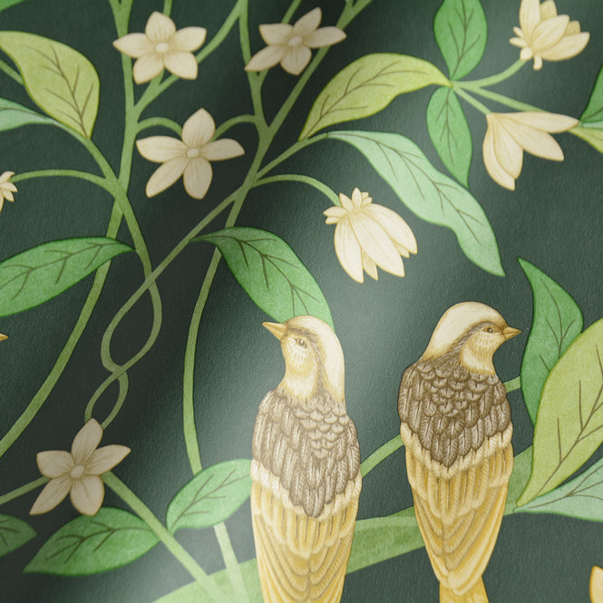 Cole&Son / SEVILLE / JASMINE & SERIN SYMPHONY 117/10029