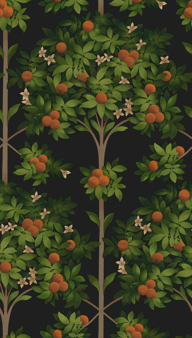 Cole&Son / SEVILLE / ORANGE BLOSSOM 117/1003(MANOR HOUSE)