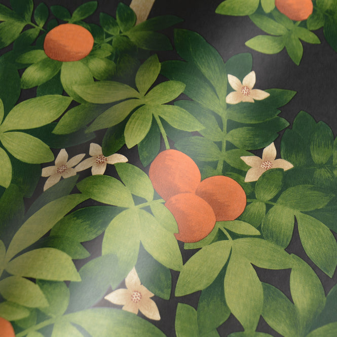 Cole&Son / SEVILLE / ORANGE BLOSSOM 117/1003(MANOR HOUSE)