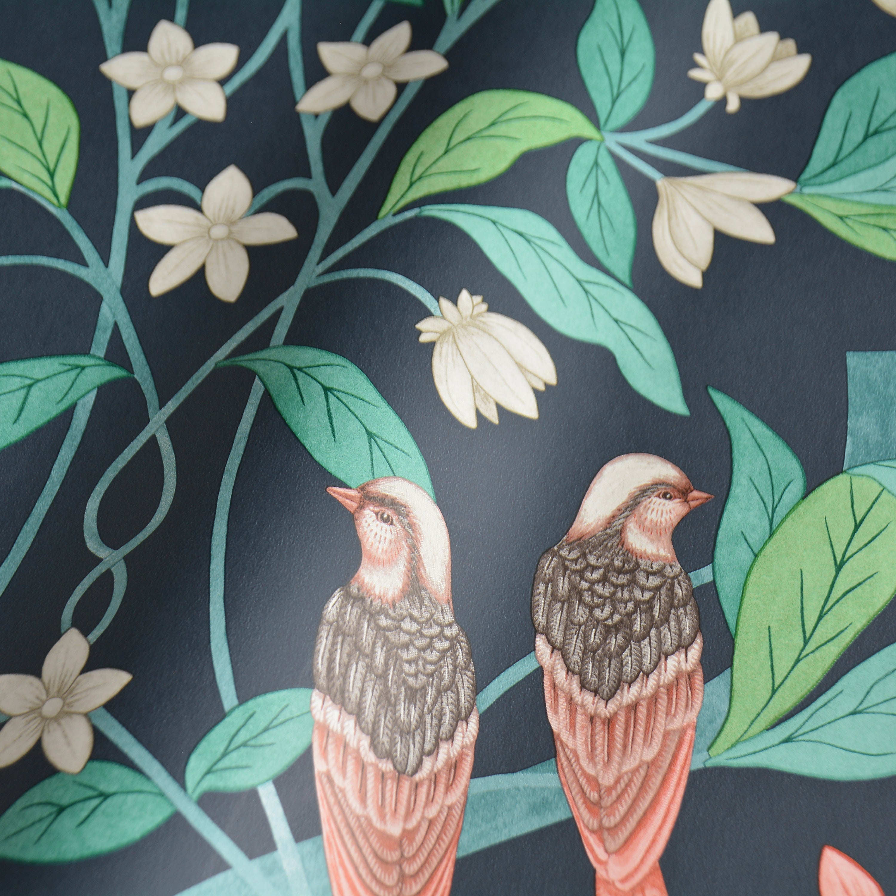 mintonの壁紙 Babylon Wallpaper in Teal/Pink by Cole & Son | Jane Clayton