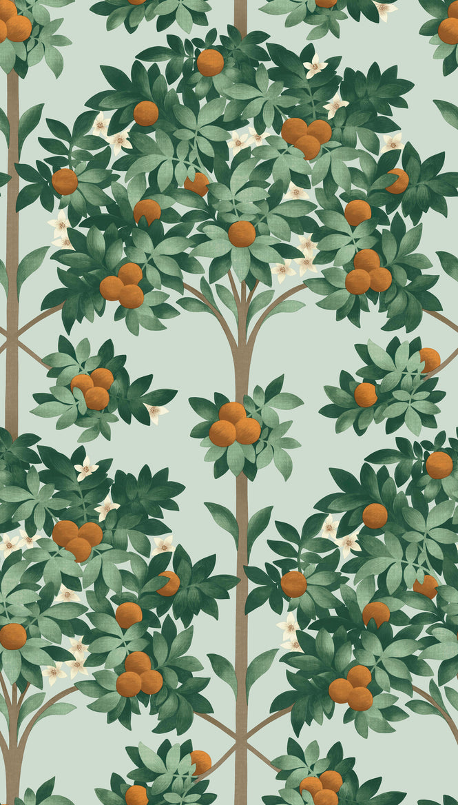 Cole&Son / SEVILLE / ORANGE BLOSSOM 117/1004(MANOR HOUSE)