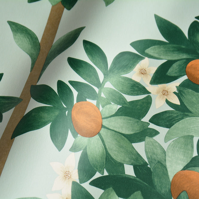 Cole&Son / SEVILLE / ORANGE BLOSSOM 117/1004(MANOR HOUSE)
