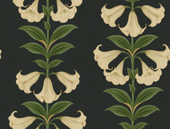 Cole&Son / SEVILLE / ANGEL'S TRUMPET 117/3006