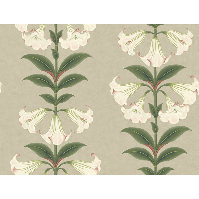 Cole&Son / SEVILLE / ANGEL'S TRUMPET 117/3007