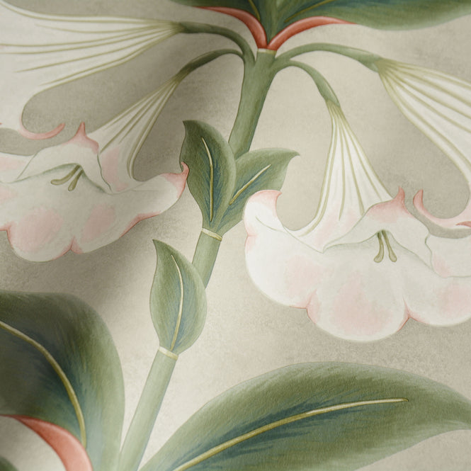 Cole&Son / SEVILLE / ANGEL'S TRUMPET 117/3007