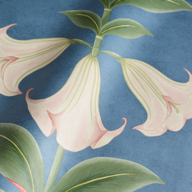 Cole&Son / SEVILLE / ANGEL'S TRUMPET 117/3008