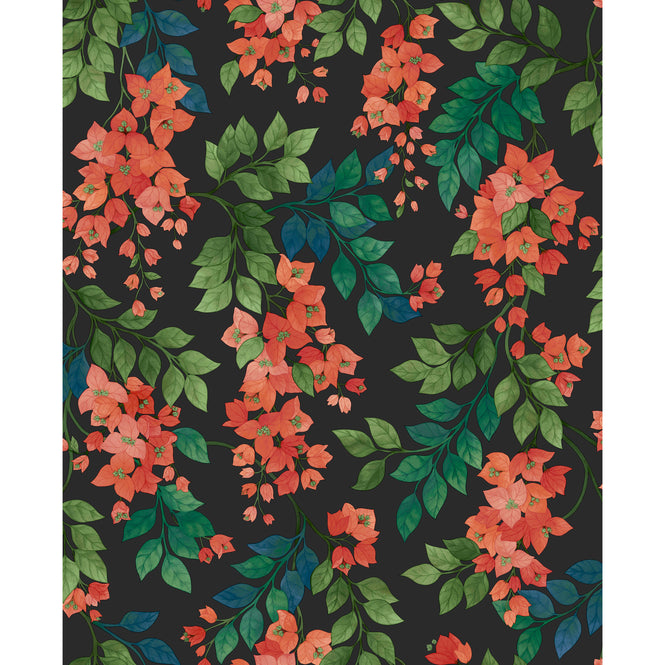 Cole&Son / SEVILLE / BOUGAINVILLEA 117/6017