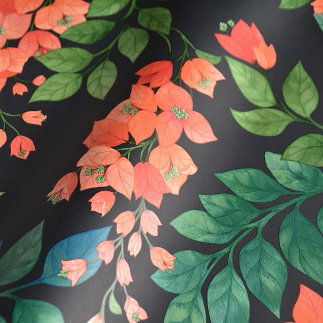 Cole&Son / SEVILLE / BOUGAINVILLEA 117/6017