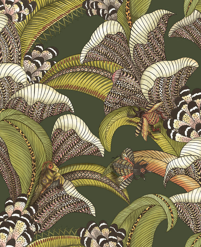 Cole&son / ARDMORE JABULA / HOOPOE LEAVES 119/1003