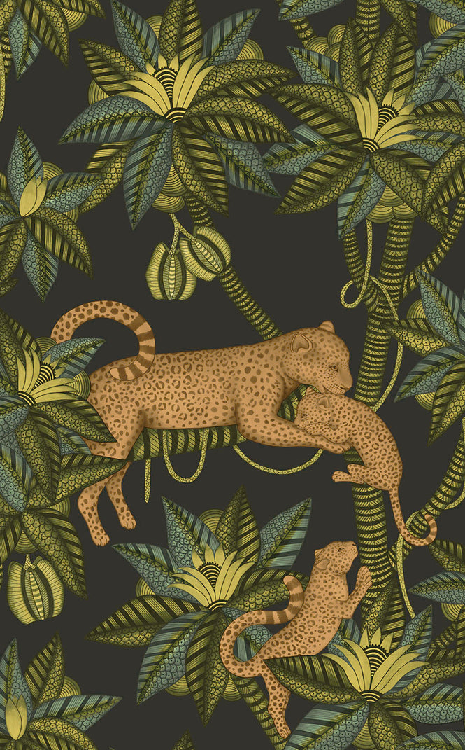 Cole&son / ARDMORE JABULA / SATARA 119/3016