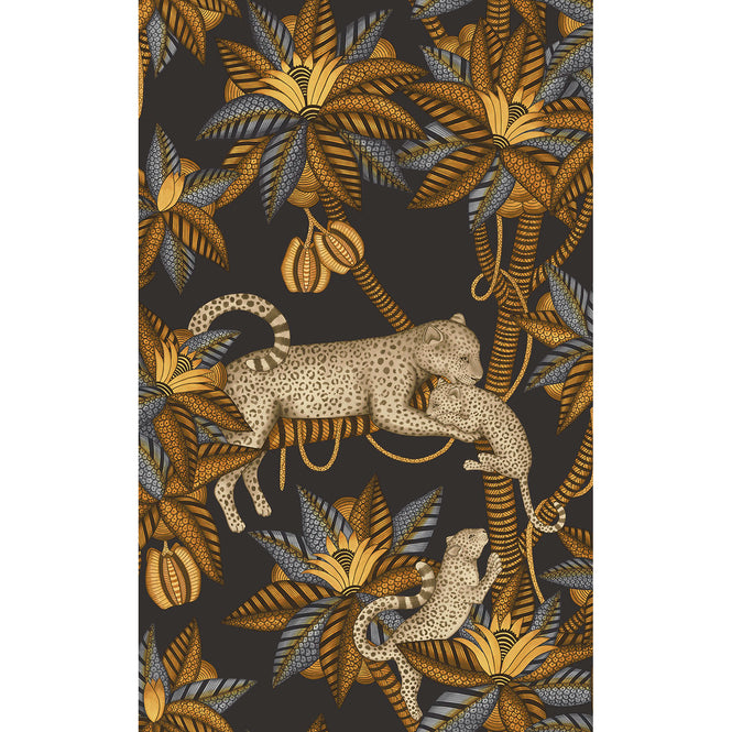 Cole&son / ARDMORE JABULA / SATARA 119/3017