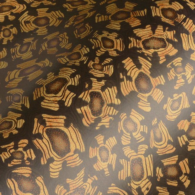 Cole&son / ARDMORE JABULA / SAVANNA SHELL 119/4019