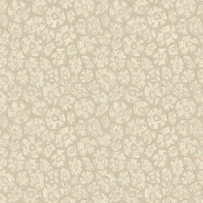 Cole&son / ARDMORE JABULA / SAVANNA SHELL 119/4021