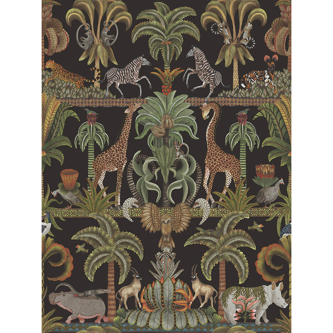 Cole&son / ARDMORE JABULA / AFRIKA KINGDOM 119/5027