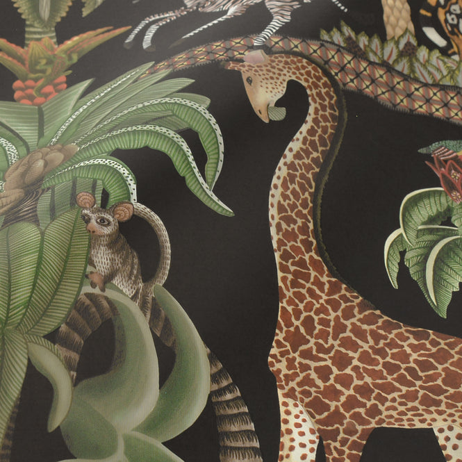 Cole&son / ARDMORE JABULA / AFRIKA KINGDOM 119/5027