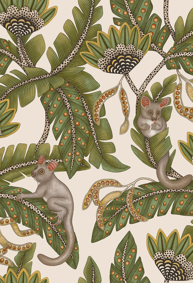 Cole&son / ARDMORE JABULA / BUSH BABY 119/7032