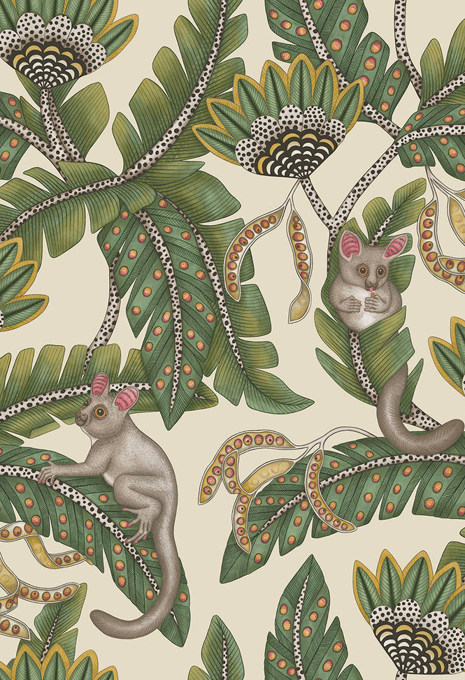 Cole&son / ARDMORE JABULA / BUSH BABY 119/7035