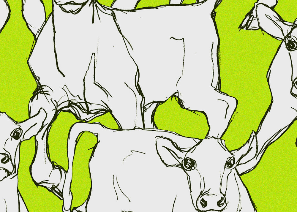 マリメッコ イルタヴィッリ 壁紙 幅70cm グリーン (1m単位で切り売り) marimekko ILTAVILLI Essential（定番シリーズ） 壁紙 マリメッコ 5種類から選べる marimekko 1ロール フリース壁紙 はがせる壁紙 北欧 フィンランド カルトナージュ diy 補修  輸入壁紙 クロス 店舗 内装 リビング トイレ 玄関 リフォーム 撮影用 ウォールペーパー wallpaper 14105 14106 14100