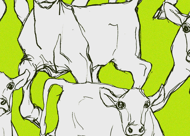 marimekko マリメッコ Wallcoverings 5 / Iltavilli (イルタヴィッリ) 14105