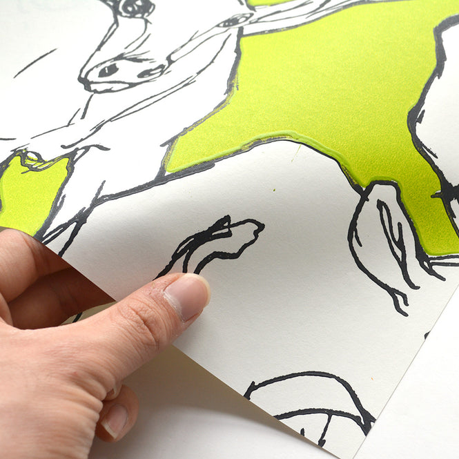 marimekko マリメッコ Wallcoverings 5 / Iltavilli (イルタヴィッリ) 14105