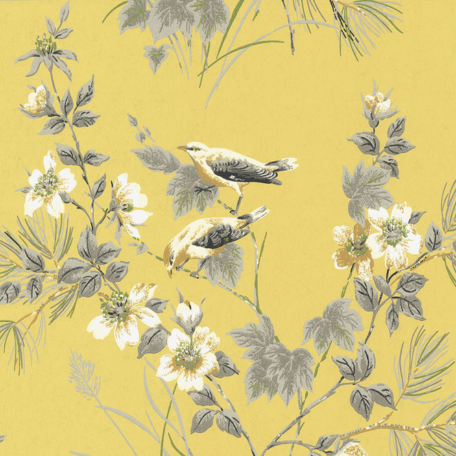 【切売m単位】1838 Wallcoverings / Rosemore Rosemore 1601-100-01