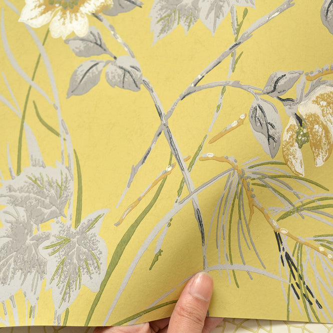 【切売m単位】1838 Wallcoverings / Rosemore Rosemore 1601-100-01