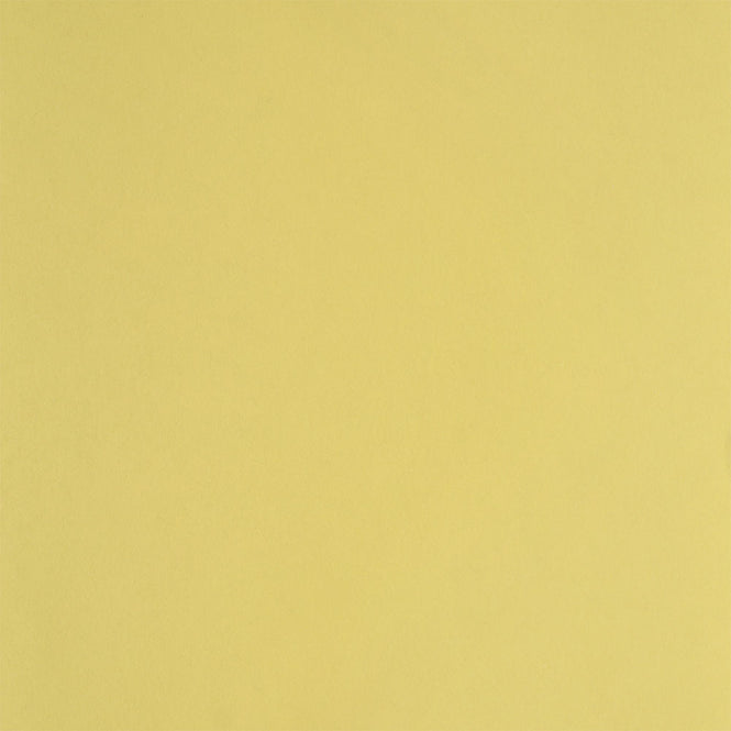 【切売m単位】 1838 Wallcoverings / Rosemore 1601-100-special
