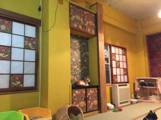 N様の施工写真