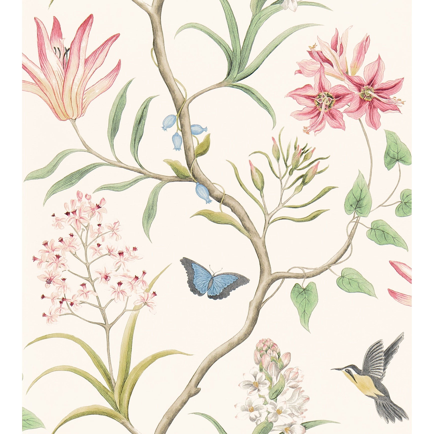 Sanderson / ONE SIXTY WALLPAPER COLLECTION / Clementine