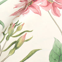 Sanderson / ONE SIXTY WALLPAPER COLLECTION / Clementine Chintz