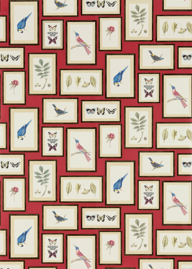 Sanderson / ONE SIXTY WALLPAPER COLLECTION / Picture Gallery Red / Multi 213398