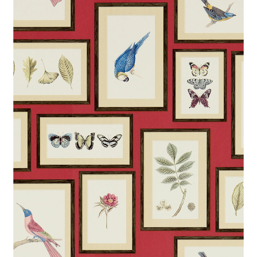 Sanderson / ONE SIXTY WALLPAPER COLLECTION / Picture Gallery Red / Multi 213398