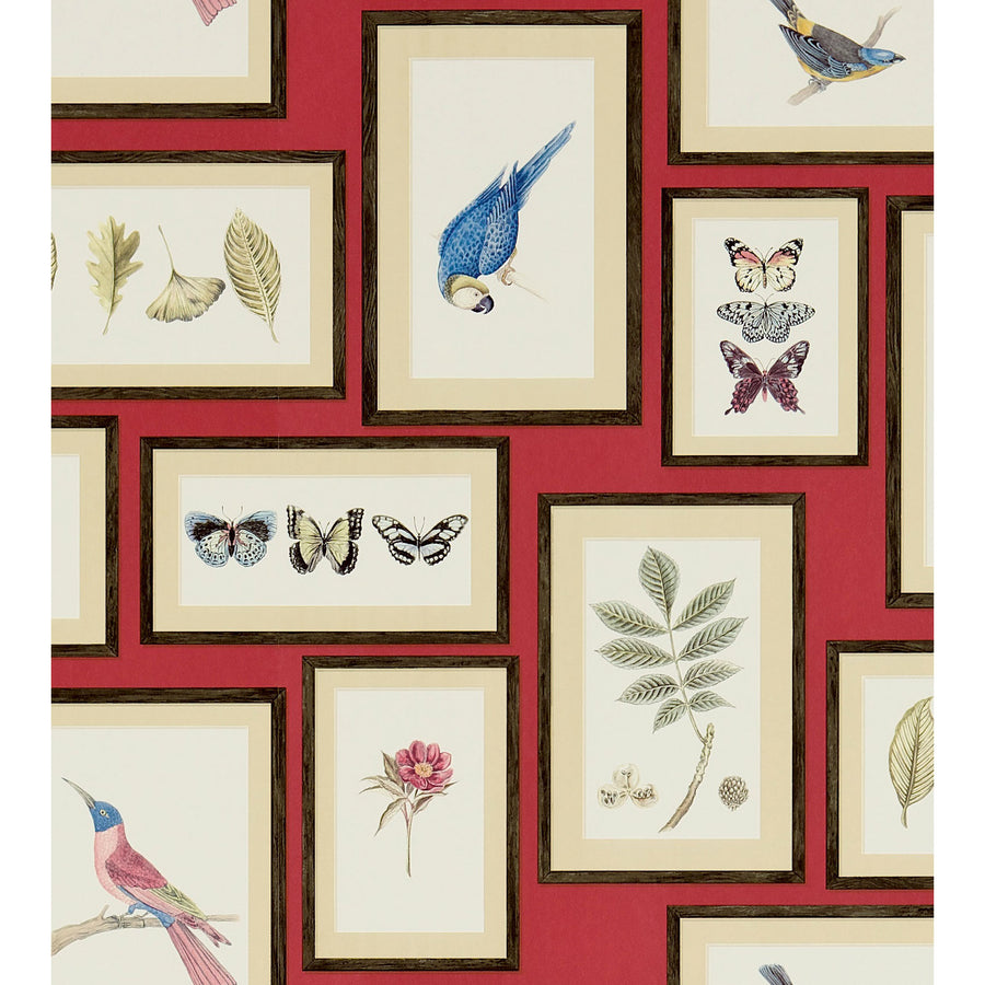 Sanderson / ONE SIXTY WALLPAPER COLLECTION / Picture Gallery Red ...