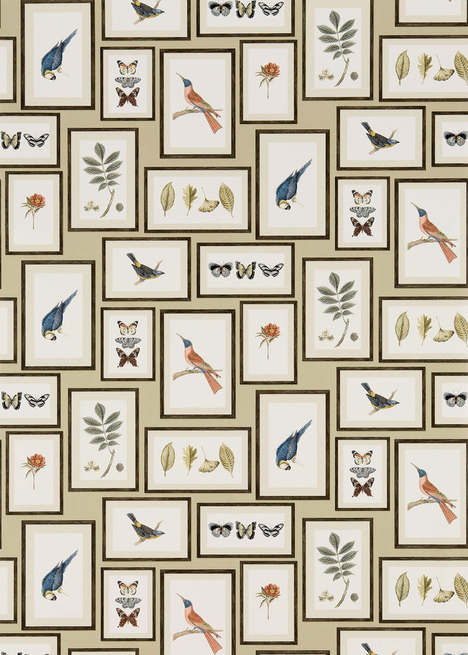 Sanderson / ONE SIXTY WALLPAPER COLLECTION / Picture Gallery Sand / Multi 213399