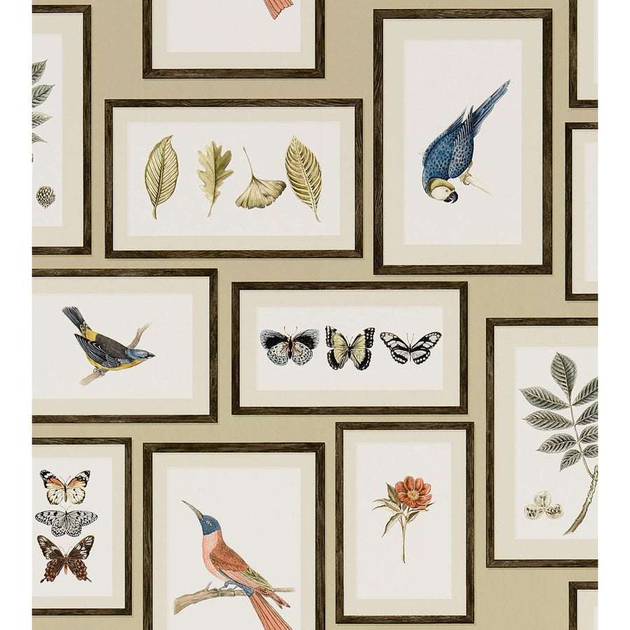 Sanderson / ONE SIXTY WALLPAPER COLLECTION / Picture Gallery Sand / Multi 213399