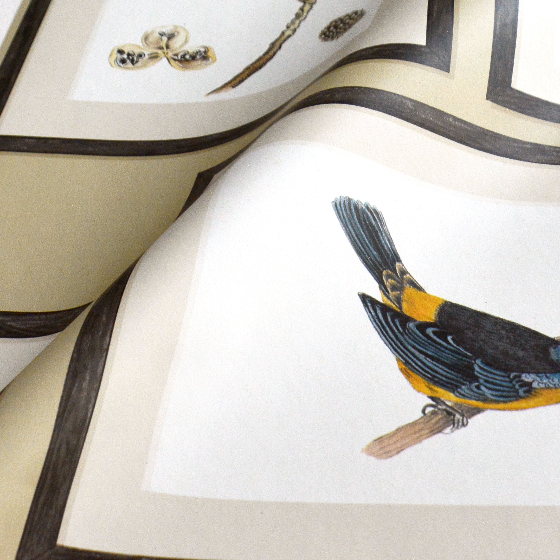 Sanderson / ONE SIXTY WALLPAPER COLLECTION / Picture Gallery Sand
