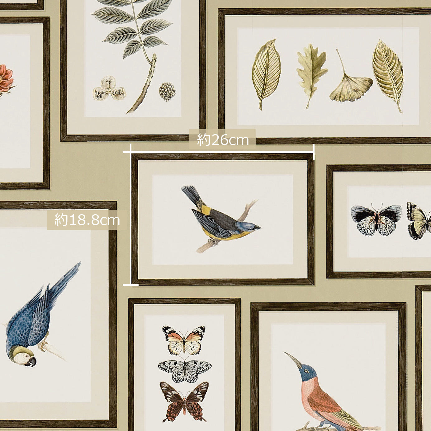Sanderson / ONE SIXTY WALLPAPER COLLECTION / Picture Gallery Red