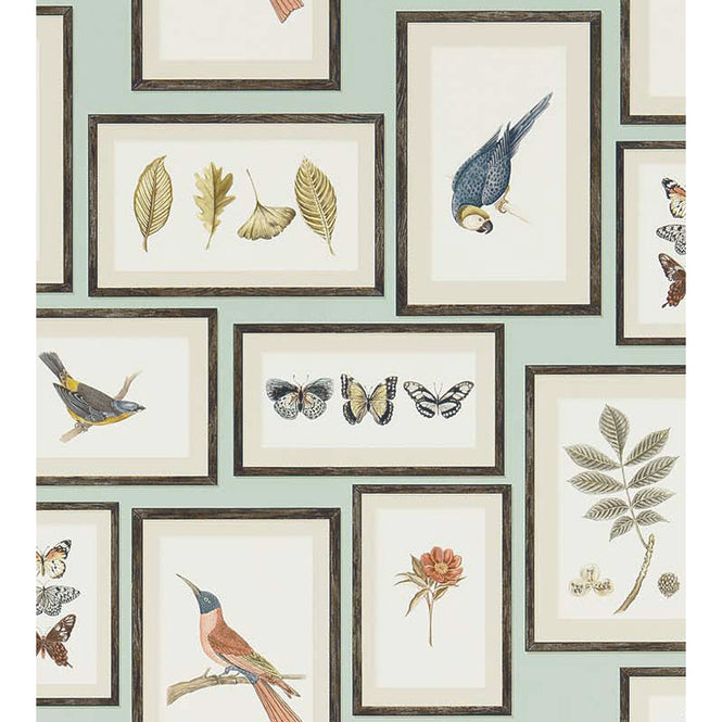 Sanderson / Voyage of Discovery Picture Gallery Aqua / Multi 213400