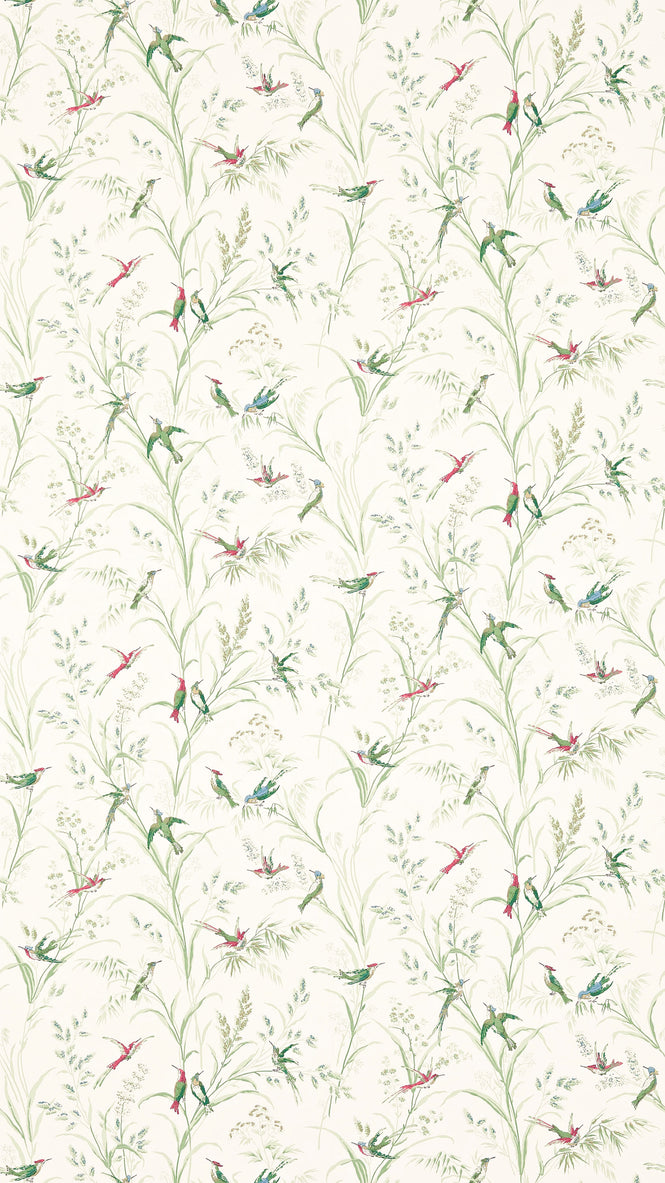 Sanderson / ONE SIXTY WALLPAPER COLLECTION / Tuileries Willow / Multi 214081