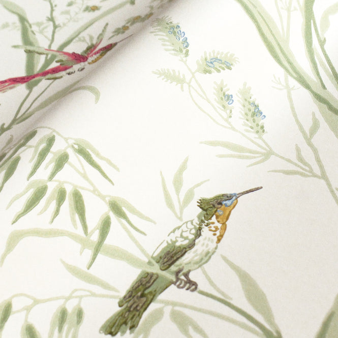 Sanderson / ONE SIXTY WALLPAPER COLLECTION / Tuileries Willow / Multi 214081