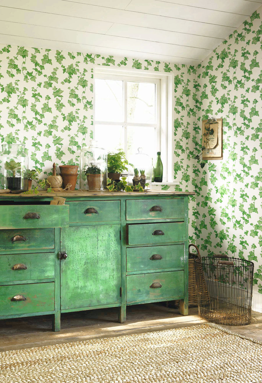 Sanderson / ONE SIXTY WALLPAPER COLLECTION / Hedera Green 214593