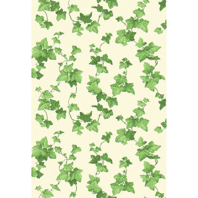 Sanderson / ONE SIXTY WALLPAPER COLLECTION / Hedera Green 214593