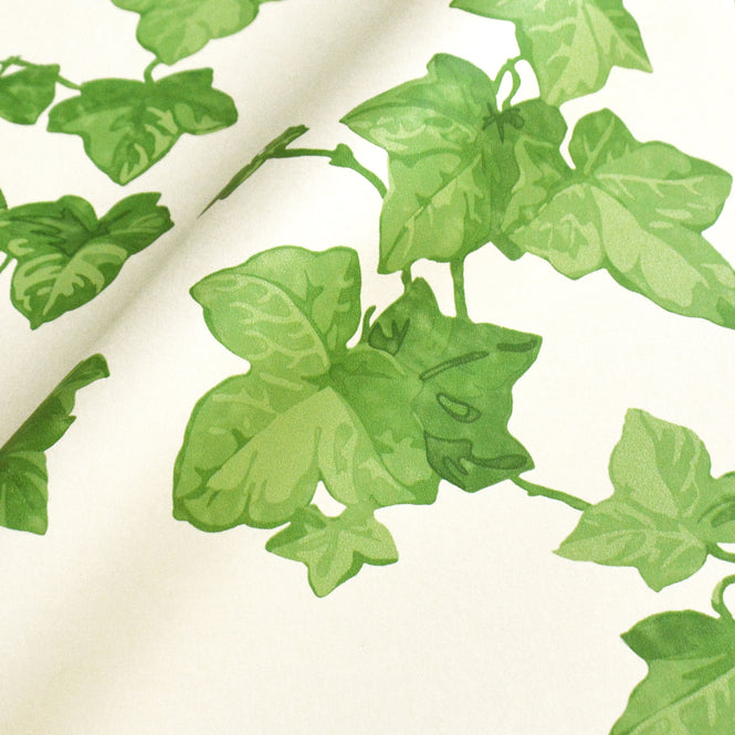 Sanderson / ONE SIXTY WALLPAPER COLLECTION / Hedera Green 214593