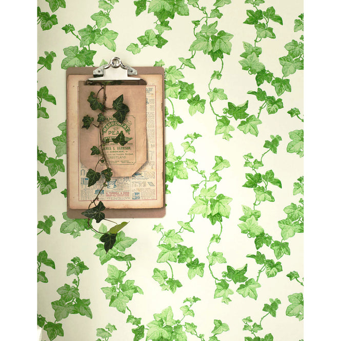 Sanderson / ONE SIXTY WALLPAPER COLLECTION / Hedera Green 214593